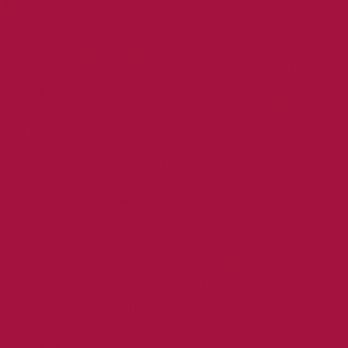 Naj Oleari Beauty - Makeup - Perfect Trace Lip Pencil 10-Deep-Wine 10-Deep-Wine
