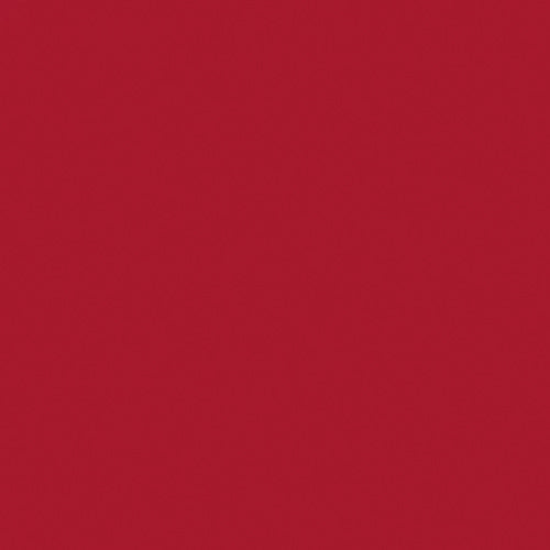 Naj Oleari Beauty - Makeup - Perfect Trace Lip Pencil 11-Fiery-Red 11-Fiery-Red