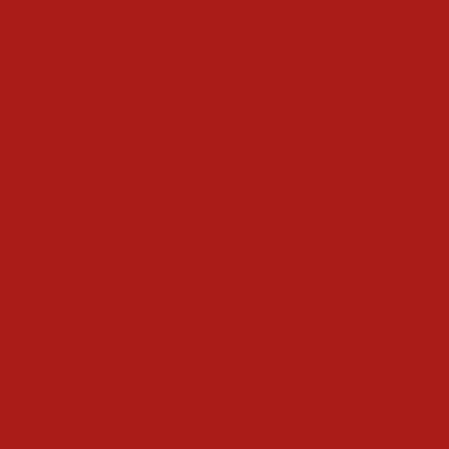 Naj Oleari Beauty - Makeup - Forever Matte Lipstick 04-Fire-Red 04-Rosso-Fuoco