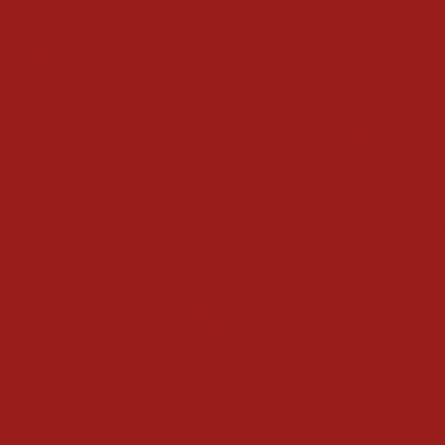 Naj Oleari Beauty - Makeup - Forever Matte Lipstick 05-Intense-Red 05-Rosso-Intenso