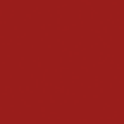 Naj Oleari Beauty - Makeup - Forever Matte Lipstick 05-Intense-Red 05-Rosso-Intenso