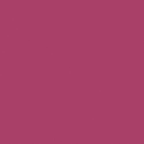 Naj Oleari Beauty - Makeup - Forever Matte Lipstick 06-Marsala 06-Marsala