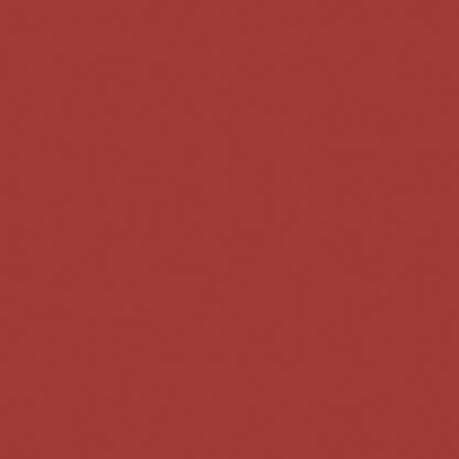 Naj Oleari Beauty - Makeup - Forever Matte Lipstick 09-Chestnut-Pink 09-Rosa-Castagna