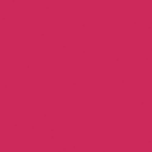 Naj Oleari Beauty - Makeup - Forever Matte Lipstick 12-Indian-Pink 12-Rosa-Indiano